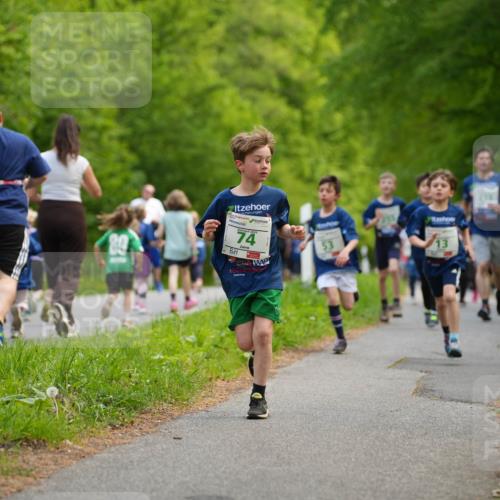 09.05.2026 - Störlauf LAZAROV Photography http://msf.ph/oto/9719841 09.05.2026 13:21:39 Laufen 84, 125, 74, 13 meine-sportfotos.de