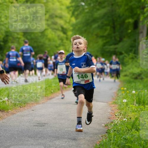 09.05.2026 - Störlauf LAZAROV Photography http://msf.ph/oto/9719855 09.05.2026 13:21:51 Laufen 2026, 279, 2026, 146 meine-sportfotos.de