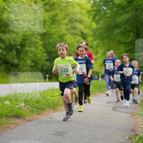 09.05.2026 - Störlauf LAZAROV Photography http://msf.ph/oto/9719892 09.05.2026 13:22:30 Laufen 248, 127 meine-sportfotos.de