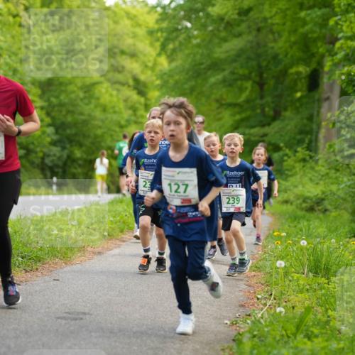 09.05.2026 - Störlauf LAZAROV Photography http://msf.ph/oto/9719895 09.05.2026 13:22:32 Laufen 6, 127, 239 meine-sportfotos.de