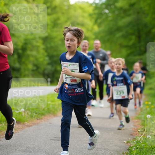 09.05.2026 - Störlauf LAZAROV Photography http://msf.ph/oto/9719896 09.05.2026 13:22:33 Laufen 2026, 6, 239 meine-sportfotos.de