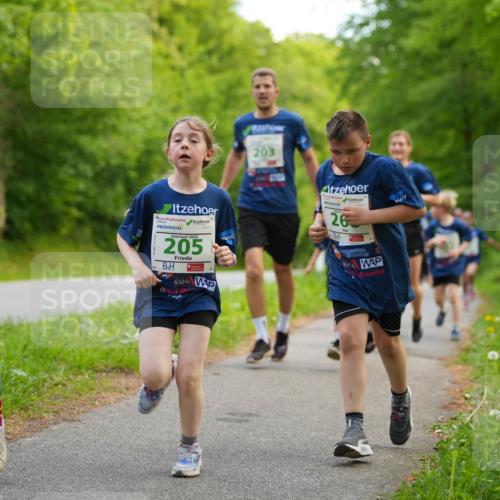 09.05.2026 - Störlauf LAZAROV Photography http://msf.ph/oto/9719934 09.05.2026 13:23:05 Laufen 203, 2026, 210, 2026, 205, 26 meine-sportfotos.de