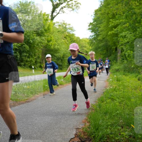 09.05.2026 - Störlauf LAZAROV Photography http://msf.ph/oto/9719938 09.05.2026 13:23:09 Laufen 196, 193, 322 meine-sportfotos.de