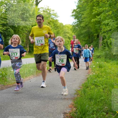 09.05.2026 - Störlauf LAZAROV Photography http://msf.ph/oto/9719958 09.05.2026 13:23:26 Laufen 2026, 102, 317, 311, 78 meine-sportfotos.de