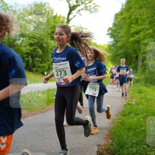 09.05.2026 - Störlauf LAZAROV Photography http://msf.ph/oto/9720010 09.05.2026 13:24:07 Laufen 246, 2026, 273, 272 meine-sportfotos.de