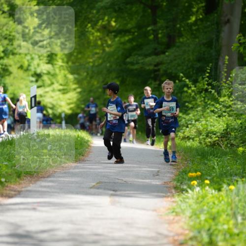 09.05.2026 - Störlauf LAZAROV Photography http://msf.ph/oto/9720188 09.05.2026 13:36:33 Laufen 59 meine-sportfotos.de