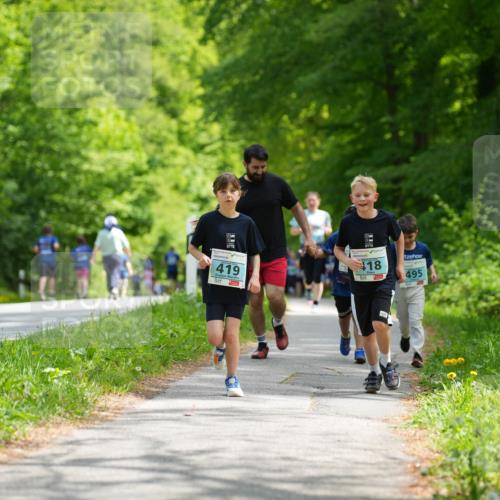 09.05.2026 - Störlauf LAZAROV Photography http://msf.ph/oto/9720215 09.05.2026 13:37:10 Laufen 419, 18, 495 meine-sportfotos.de