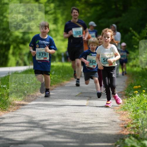 09.05.2026 - Störlauf LAZAROV Photography http://msf.ph/oto/9720317 09.05.2026 13:38:58 Laufen 363, 2026, 50, 379, 364 meine-sportfotos.de