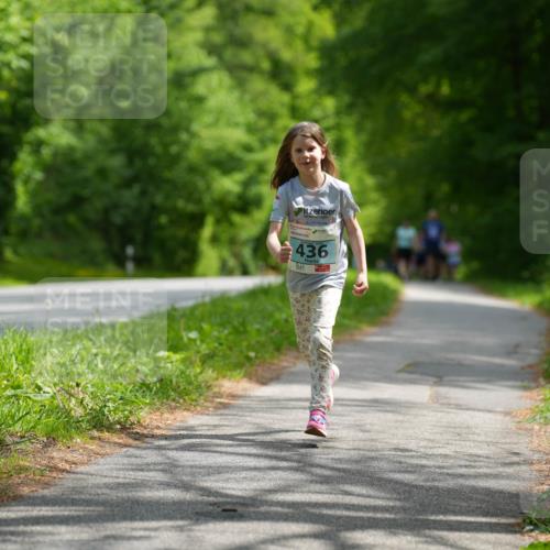 09.05.2026 - Störlauf LAZAROV Photography http://msf.ph/oto/9720403 09.05.2026 13:40:28 Laufen 436 meine-sportfotos.de