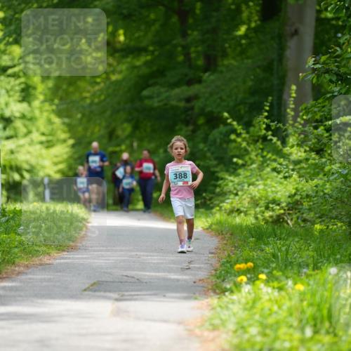 09.05.2026 - Störlauf LAZAROV Photography http://msf.ph/oto/9720425 09.05.2026 13:41:14 Laufen 388 meine-sportfotos.de