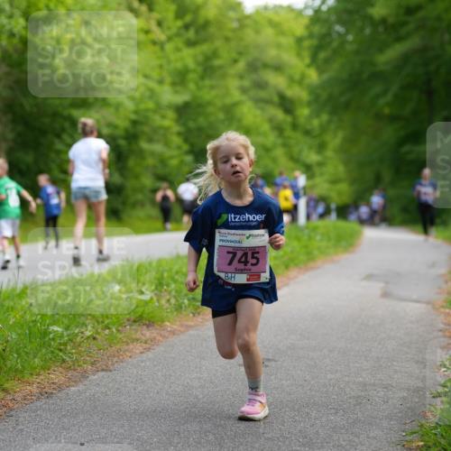 09.05.2026 - Störlauf LAZAROV Photography http://msf.ph/oto/9720452 09.05.2026 13:51:21 Laufen 745, 910 meine-sportfotos.de