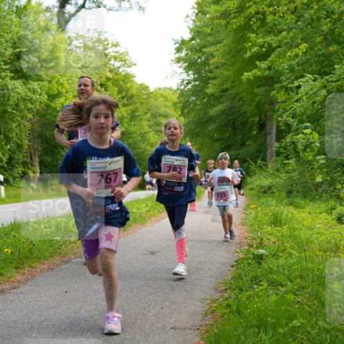 09.05.2026 - Störlauf LAZAROV Photography http://msf.ph/oto/9720481 09.05.2026 13:51:56 Laufen 767, 145, 782, 735 meine-sportfotos.de