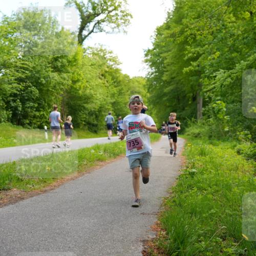 09.05.2026 - Störlauf LAZAROV Photography http://msf.ph/oto/9720483 09.05.2026 13:51:58 Laufen 735 meine-sportfotos.de