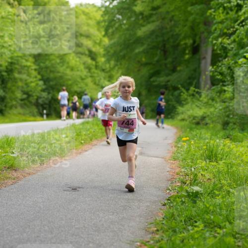 09.05.2026 - Störlauf LAZAROV Photography http://msf.ph/oto/9720496 09.05.2026 13:52:11 Laufen 744 meine-sportfotos.de