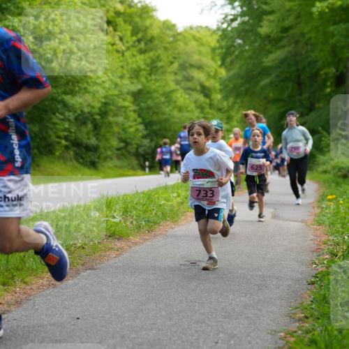 09.05.2026 - Störlauf LAZAROV Photography http://msf.ph/oto/9720521 09.05.2026 13:52:39 Laufen 617, 733, 625 meine-sportfotos.de