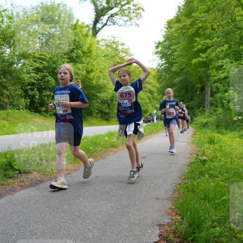 09.05.2026 - Störlauf LAZAROV Photography http://msf.ph/oto/9720544 09.05.2026 13:52:54 Laufen 16, 675, 663 meine-sportfotos.de