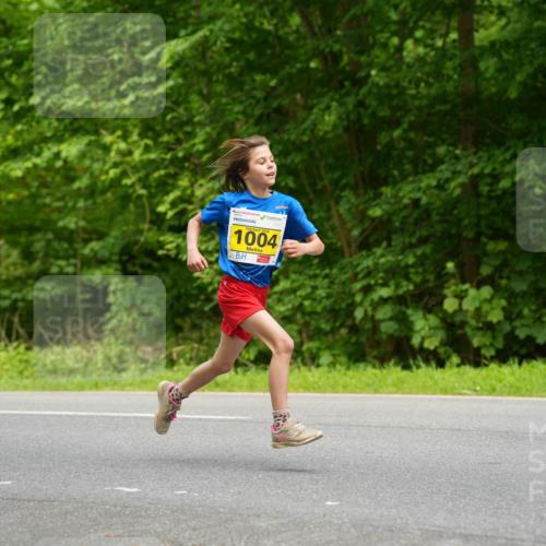 09.05.2026 - Störlauf LAZAROV Photography http://msf.ph/oto/9720808 09.05.2026 14:03:15 Laufen 1004 meine-sportfotos.de