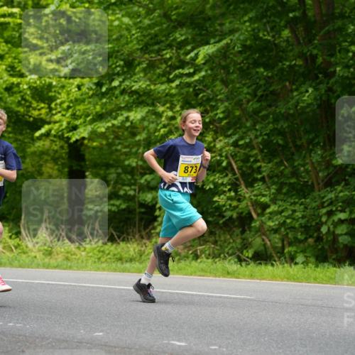 09.05.2026 - Störlauf LAZAROV Photography http://msf.ph/oto/9720809 09.05.2026 14:03:20 Laufen 880, 873 meine-sportfotos.de