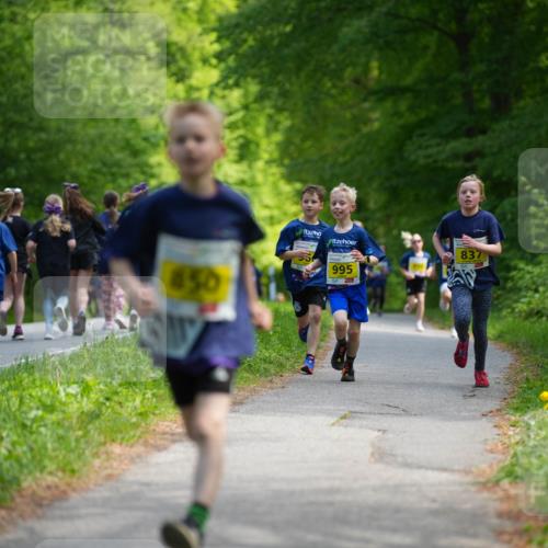 09.05.2026 - Störlauf LAZAROV Photography http://msf.ph/oto/9720832 09.05.2026 14:05:54 Laufen 850, 995, 837 meine-sportfotos.de