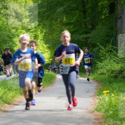 09.05.2026 - Störlauf LAZAROV Photography http://msf.ph/oto/9720836 09.05.2026 14:05:56 Laufen 995, 999 meine-sportfotos.de
