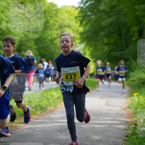 09.05.2026 - Störlauf LAZAROV Photography http://msf.ph/oto/9720839 09.05.2026 14:05:58 Laufen 995, 2026, 837 meine-sportfotos.de