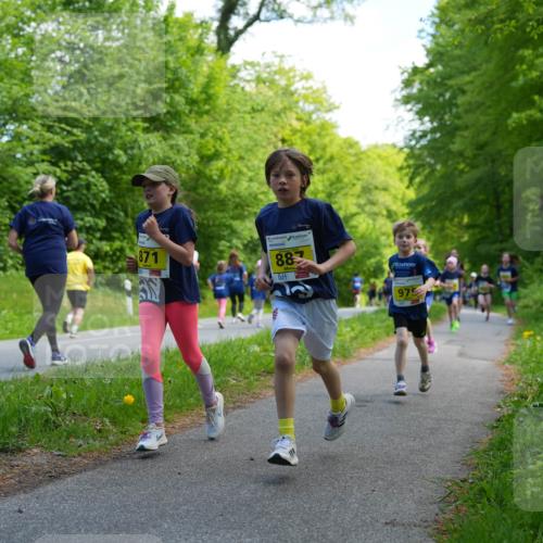 09.05.2026 - Störlauf LAZAROV Photography http://msf.ph/oto/9720881 09.05.2026 14:06:29 Laufen 871, 88, 975 meine-sportfotos.de