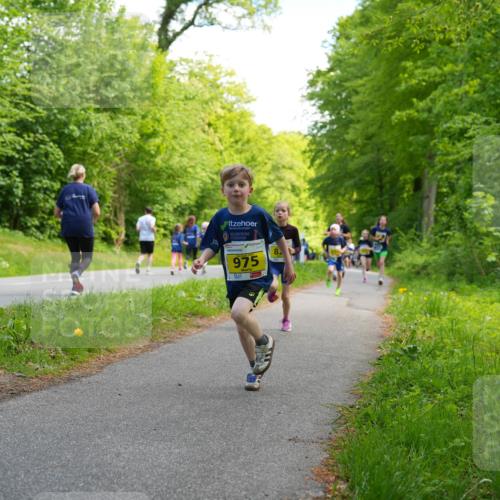 09.05.2026 - Störlauf LAZAROV Photography http://msf.ph/oto/9720883 09.05.2026 14:06:30 Laufen 975 meine-sportfotos.de