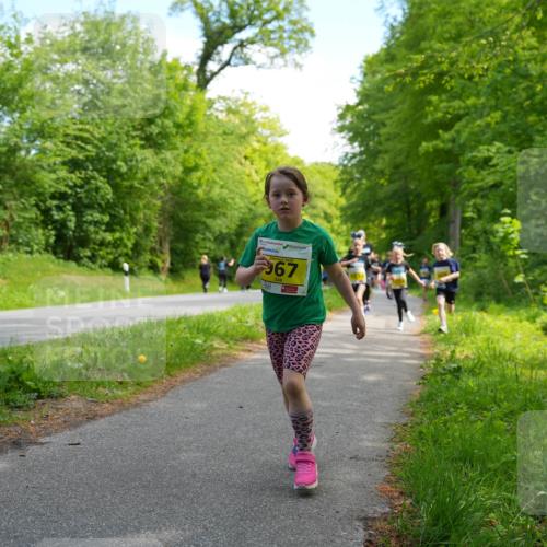 09.05.2026 - Störlauf LAZAROV Photography http://msf.ph/oto/9720913 09.05.2026 14:06:53 Laufen 2026, 67 meine-sportfotos.de