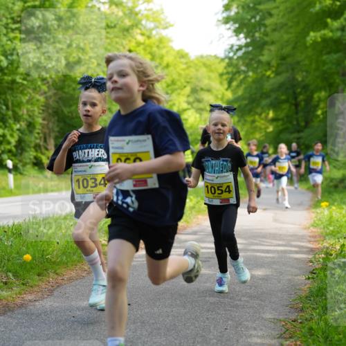 09.05.2026 - Störlauf LAZAROV Photography http://msf.ph/oto/9720916 09.05.2026 14:06:54 Laufen 2026, 1034, 1054 meine-sportfotos.de