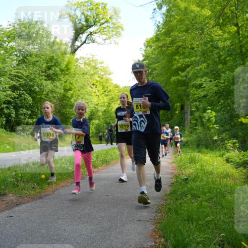 09.05.2026 - Störlauf LAZAROV Photography http://msf.ph/oto/9720933 09.05.2026 14:07:07 Laufen 1008, 817 meine-sportfotos.de