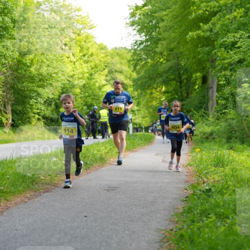 09.05.2026 - Störlauf LAZAROV Photography http://msf.ph/oto/9720945 09.05.2026 14:07:17 Laufen 915, 914, 904 meine-sportfotos.de