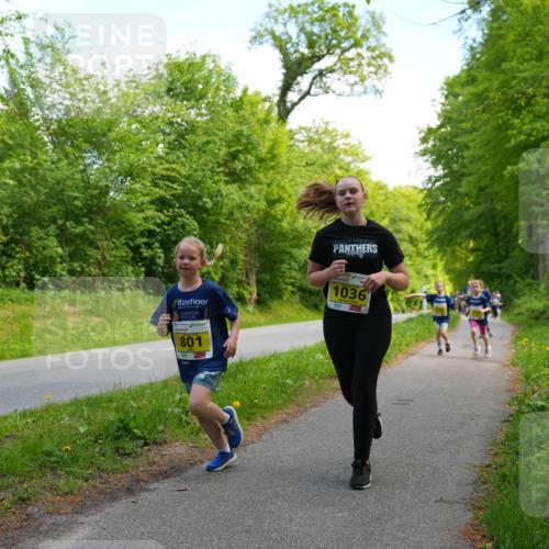 09.05.2026 - Störlauf LAZAROV Photography http://msf.ph/oto/9721087 09.05.2026 14:08:48 Laufen 1036, 801 meine-sportfotos.de
