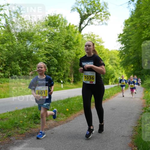 09.05.2026 - Störlauf LAZAROV Photography http://msf.ph/oto/9721088 09.05.2026 14:08:48 Laufen 801, 1036 meine-sportfotos.de