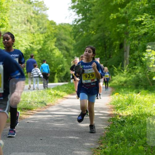 09.05.2026 - Störlauf LAZAROV Photography http://msf.ph/oto/9721147 09.05.2026 14:09:24 Laufen 946, 929 meine-sportfotos.de