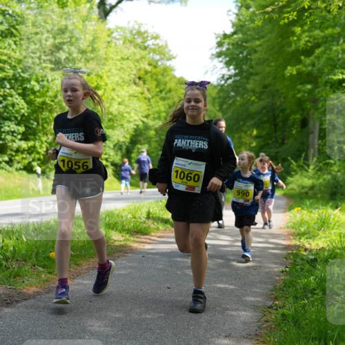 09.05.2026 - Störlauf LAZAROV Photography http://msf.ph/oto/9721154 09.05.2026 14:09:28 Laufen 1056, 1060, 990 meine-sportfotos.de