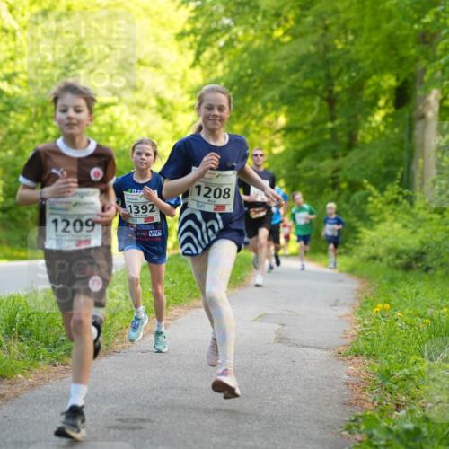 09.05.2026 - Störlauf LAZAROV Photography http://msf.ph/oto/9721256 09.05.2026 14:35:19 Laufen 1209, 1392, 1208 meine-sportfotos.de