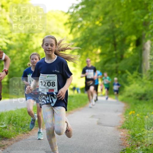 09.05.2026 - Störlauf LAZAROV Photography http://msf.ph/oto/9721257 09.05.2026 14:35:19 Laufen 1209, 2026, 1208 meine-sportfotos.de