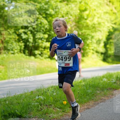 09.05.2026 - Störlauf LAZAROV Photography http://msf.ph/oto/9721283 09.05.2026 14:35:43 Laufen 2026, 1499 meine-sportfotos.de