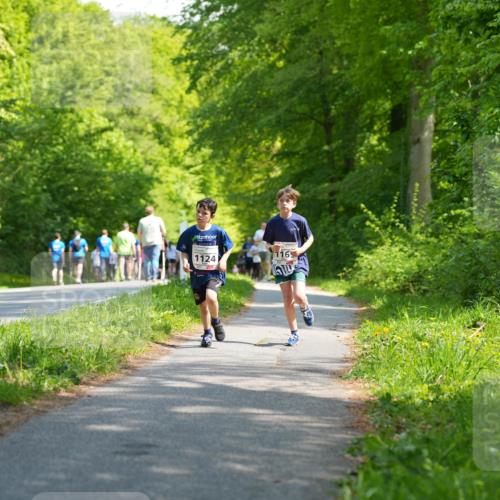 09.05.2026 - Störlauf LAZAROV Photography http://msf.ph/oto/9721436 09.05.2026 14:38:29 Laufen 1124, 116 meine-sportfotos.de