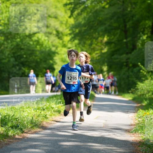 09.05.2026 - Störlauf LAZAROV Photography http://msf.ph/oto/9721469 09.05.2026 14:39:05 Laufen 1295, 1177, 1 meine-sportfotos.de