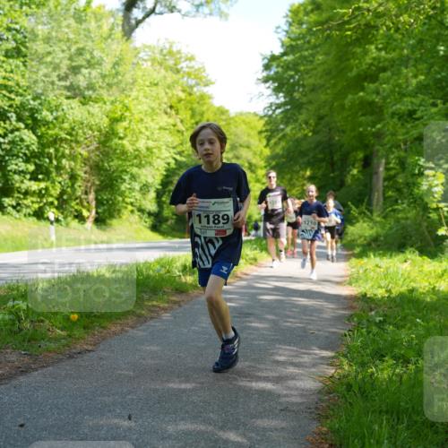 09.05.2026 - Störlauf LAZAROV Photography http://msf.ph/oto/9721487 09.05.2026 14:39:26 Laufen 1189, 1210 meine-sportfotos.de