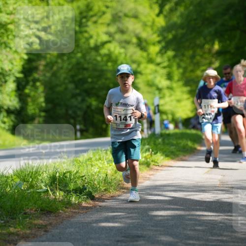 09.05.2026 - Störlauf LAZAROV Photography http://msf.ph/oto/9721506 09.05.2026 14:39:41 Laufen 1141, 118, 1184 meine-sportfotos.de