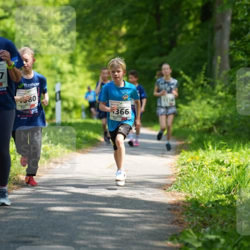 09.05.2026 - Störlauf LAZAROV Photography http://msf.ph/oto/9721804 09.05.2026 14:43:12 Laufen 1097, 80, 366, 131 meine-sportfotos.de