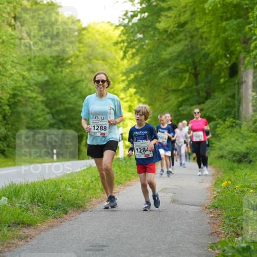 09.05.2026 - Störlauf LAZAROV Photography http://msf.ph/oto/9721929 09.05.2026 14:44:43 Laufen 1288, 1083, 1454, 1284 meine-sportfotos.de