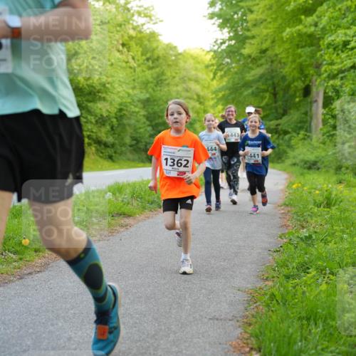 09.05.2026 - Störlauf LAZAROV Photography http://msf.ph/oto/9721950 09.05.2026 14:44:59 Laufen 443, 444, 1441, 1362 meine-sportfotos.de