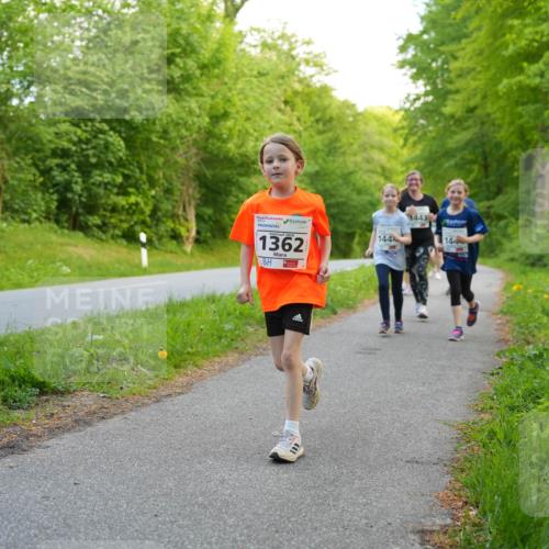 09.05.2026 - Störlauf LAZAROV Photography http://msf.ph/oto/9721951 09.05.2026 14:45:00 Laufen 1362, 1443, 144, 144 meine-sportfotos.de