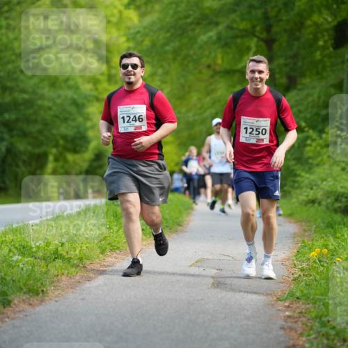 09.05.2026 - Störlauf LAZAROV Photography http://msf.ph/oto/9722186 09.05.2026 14:48:01 Laufen 1246, 1250 meine-sportfotos.de