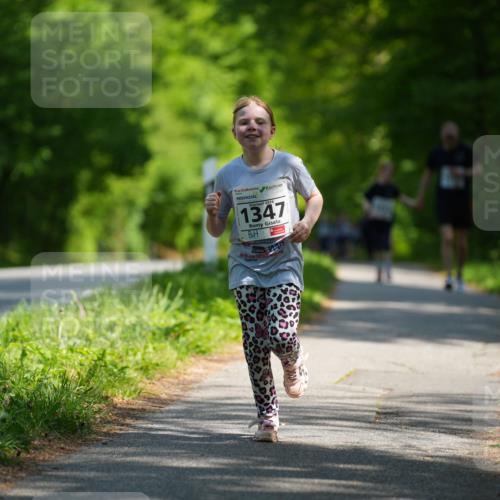 09.05.2026 - Störlauf LAZAROV Photography http://msf.ph/oto/9722350 09.05.2026 14:50:24 Laufen 2026, 1347 meine-sportfotos.de