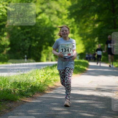 09.05.2026 - Störlauf LAZAROV Photography http://msf.ph/oto/9722352 09.05.2026 14:50:25 Laufen 1347 meine-sportfotos.de