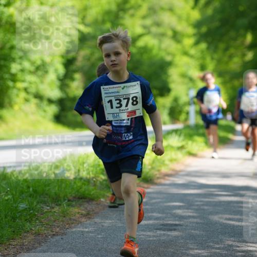 09.05.2026 - Störlauf LAZAROV Photography http://msf.ph/oto/9722393 09.05.2026 14:51:35 Laufen 2026, 1378 meine-sportfotos.de